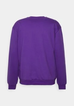 Kaotiko Crew Brett - Sweater - Purple -Herenkledingwinkel 171e40b8cc864d0f82b2bdf038f8f581