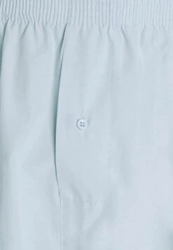 Pier One 5 Pack - Boxershort - Light Blue/White -Herenkledingwinkel 8d526a81d413439291c57bcecfa7d443